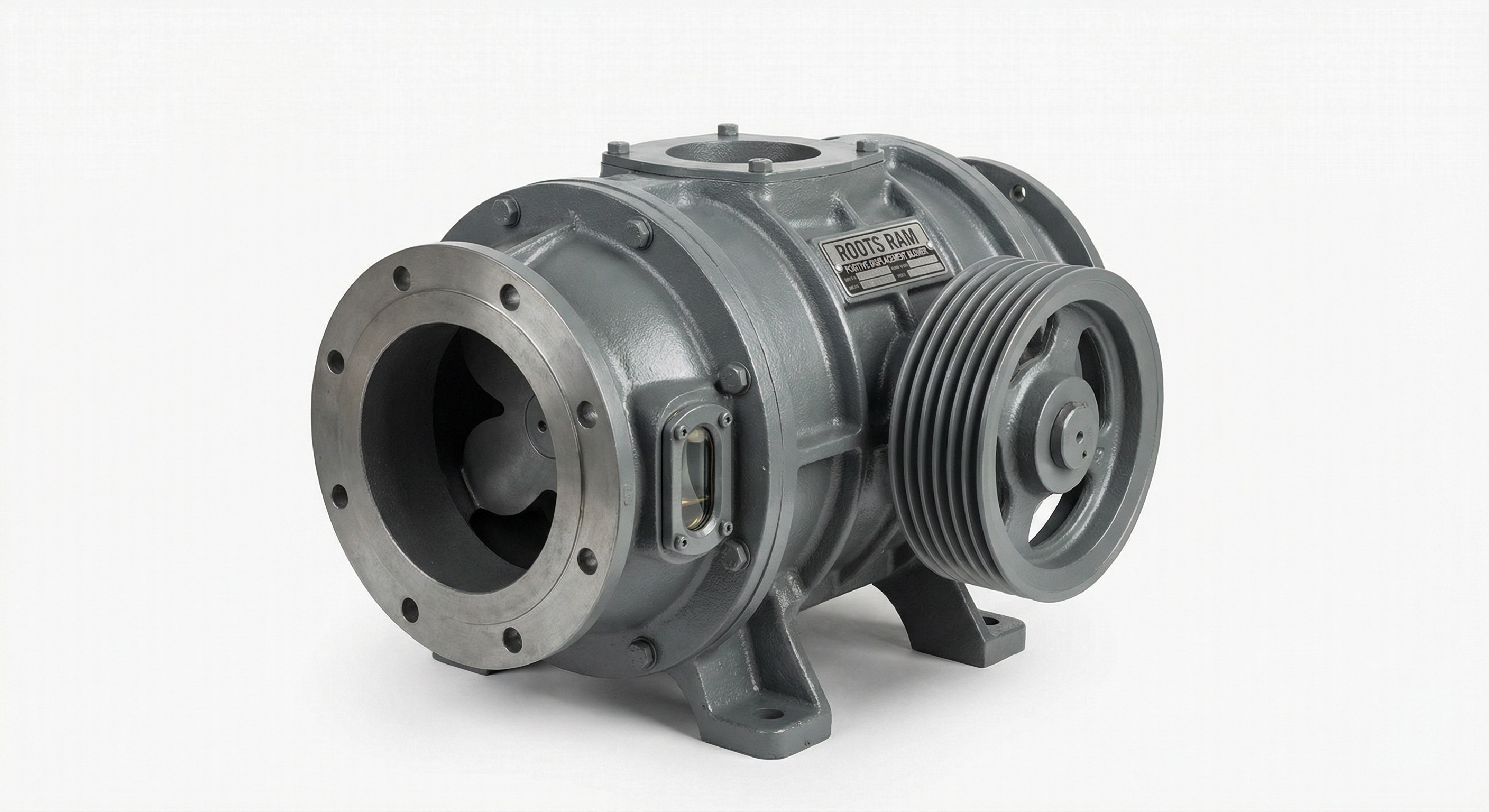 Soplador Lobular Roots Serie RAM vacío y presión - SSD México